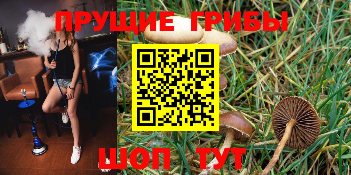Галлюциногенные грибы ЛСД  Вход с VPN  Галлюциногенные грибы мицелий  Ирбит 